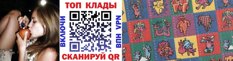 Где можно купить наркотики Пошехонье Галлюциногенные грибы Мефедрон ГАШИШ Канабис