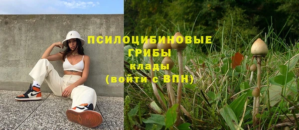шишки Алзамай