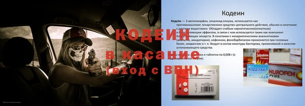 шишки Алзамай