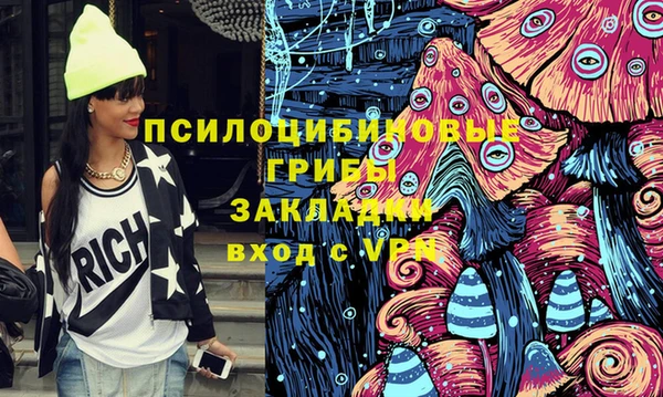 шишки Алзамай