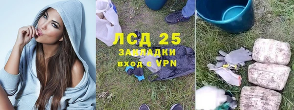 шишки Алзамай