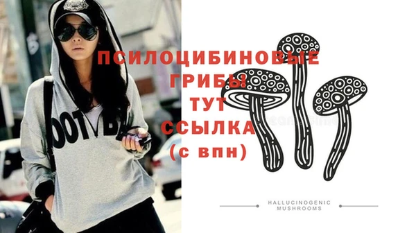 шишки Алзамай