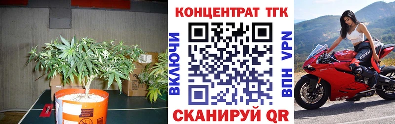 ТГК вейп  OMG как зайти  Пошехонье 