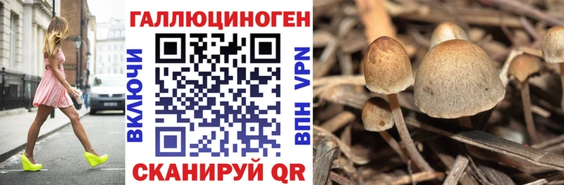 Псилоцибиновые грибы ЛСД  даркнет сайт  Пошехонье 